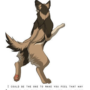 Meet your Posher, Loin